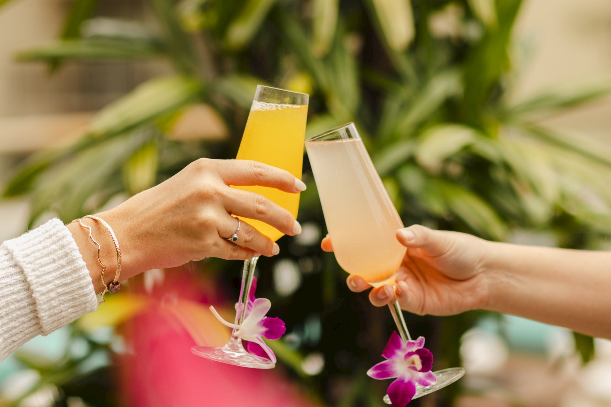 Two hands clink glasses of colorful drinks with flowers garnishing the stems, set against a leafy, green background.