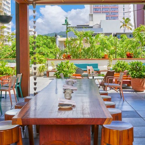 The image shows an outdoor restaurant area with wooden tables and chairs, surrounded by greenery, and a view of buildings in the background.